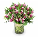 Bouquet of premium tulips